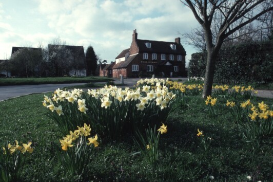 The Rose and Crown Public House